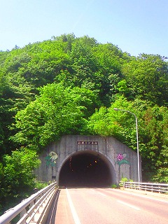 f0100911_22245569.jpg