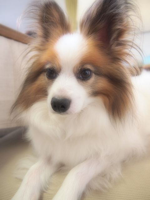 a0151615_0432266.jpg