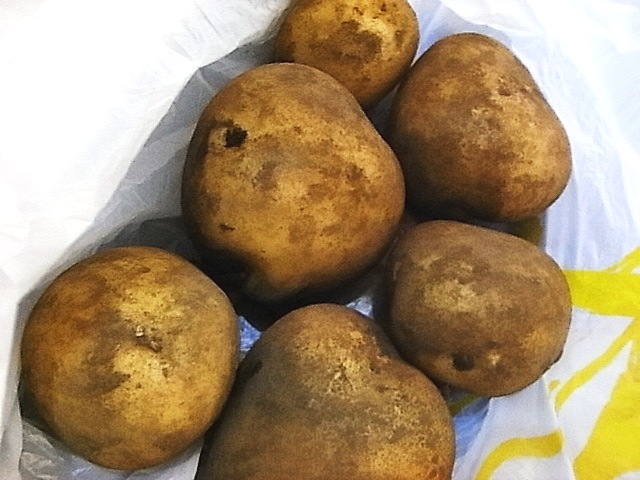 e0130722_2274680.jpg