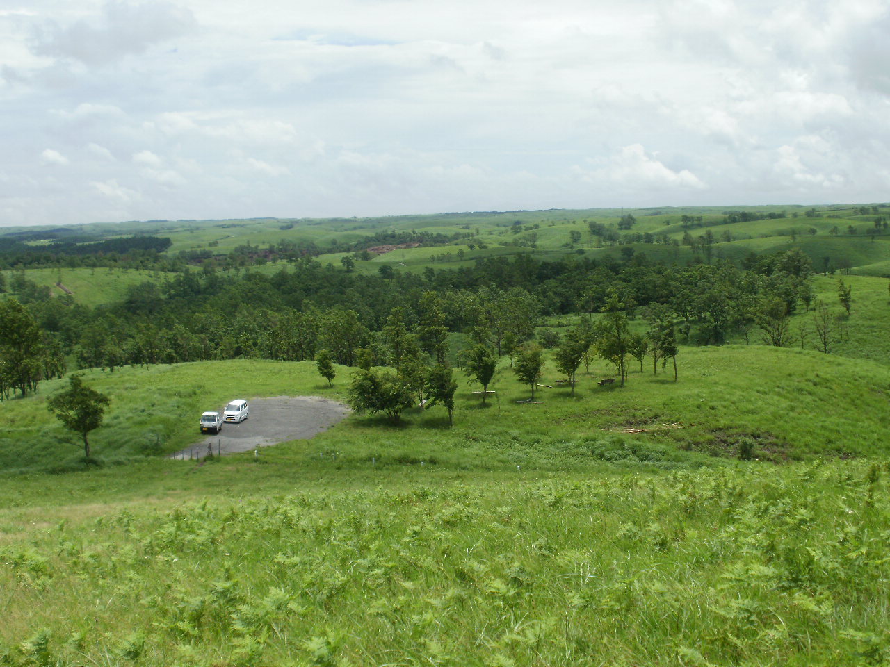 f0095325_1149549.jpg