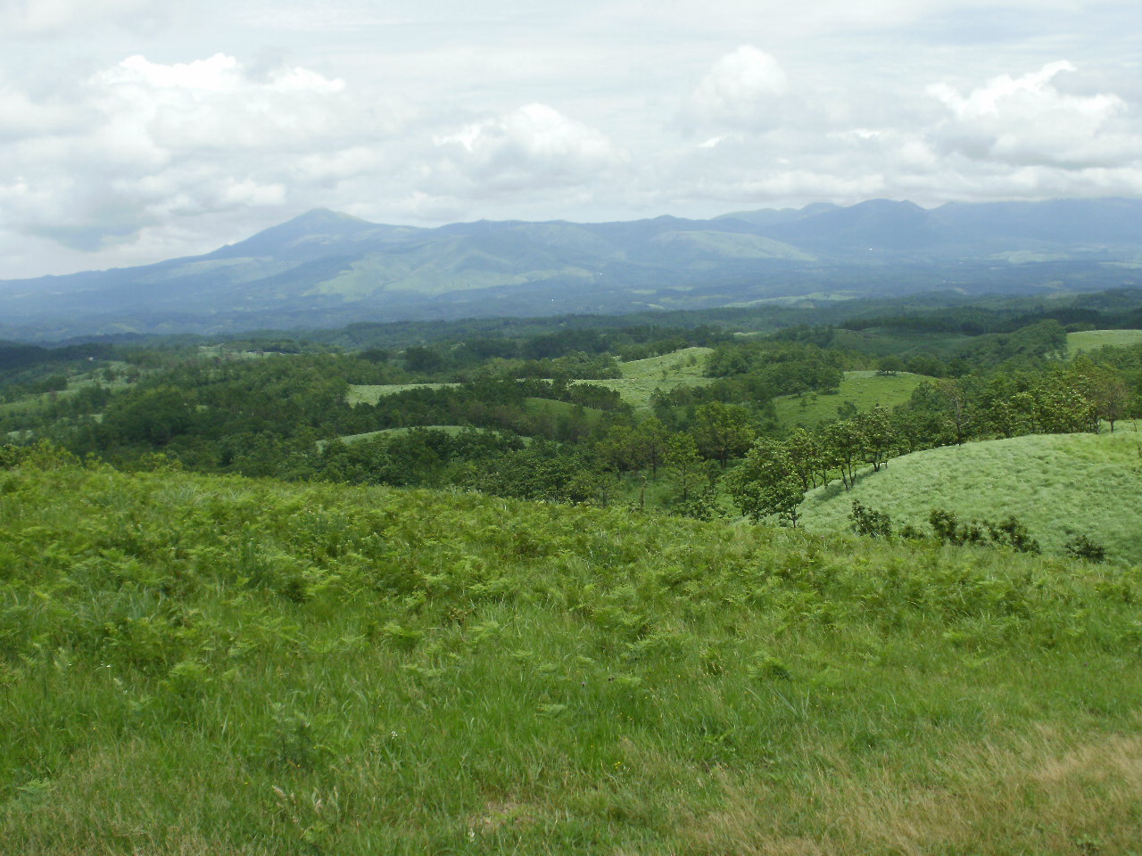 f0095325_11501149.jpg