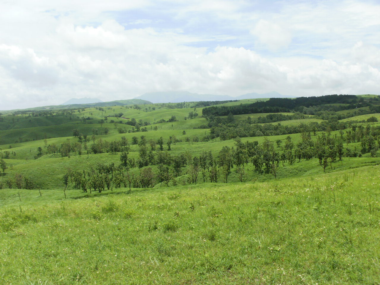 f0095325_11505638.jpg