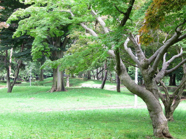 f0147025_18265584.jpg