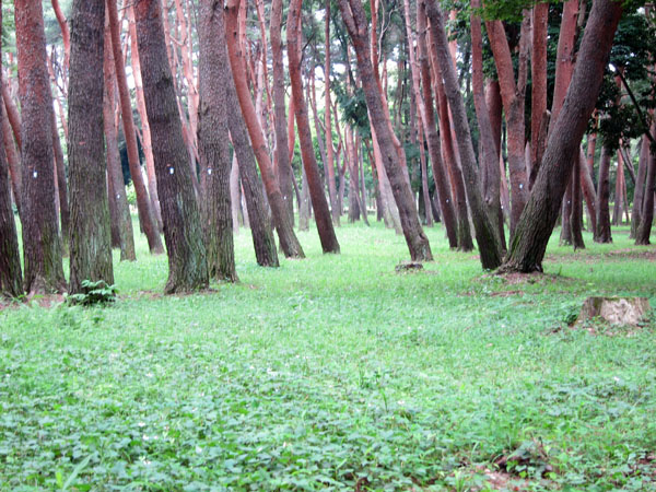 f0147025_18275967.jpg