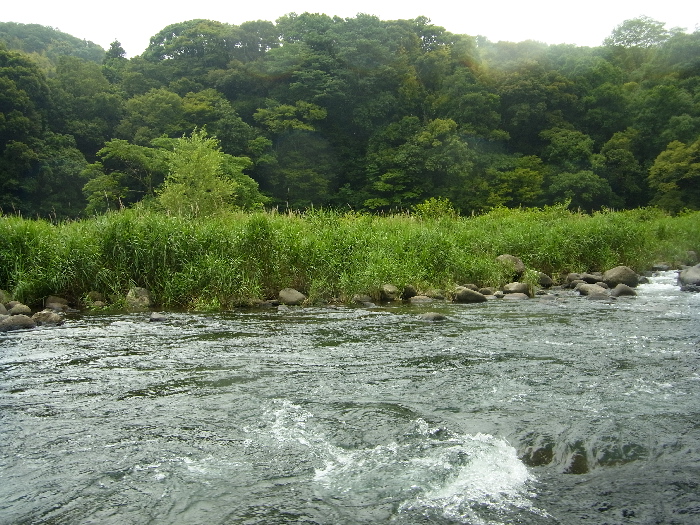 f0103126_21222938.jpg