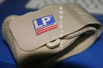 d0042827_1532570.jpg