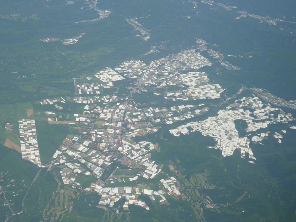 a0024829_12481369.jpg