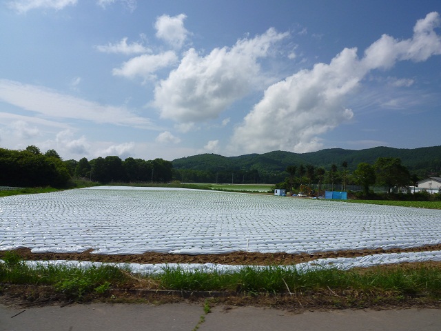 a0024829_13121640.jpg