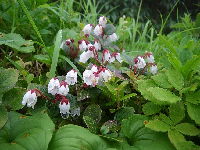 f0118332_0301245.jpg