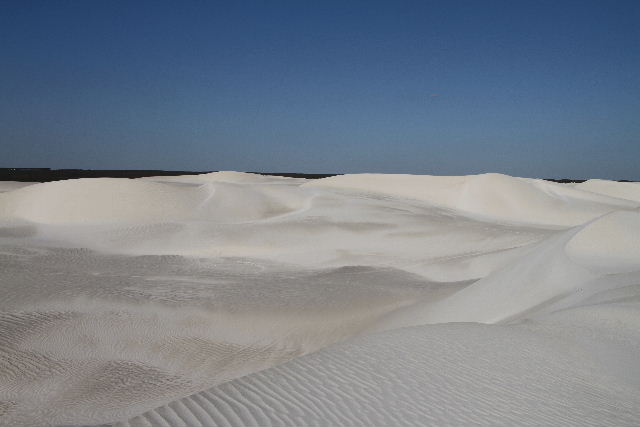 e0064133_14555439.jpg