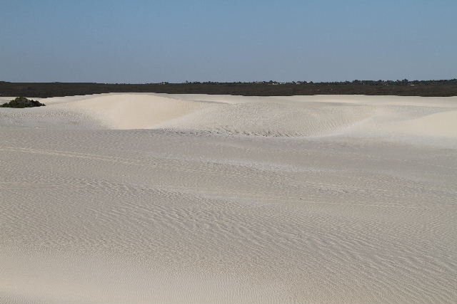 e0064133_14562258.jpg