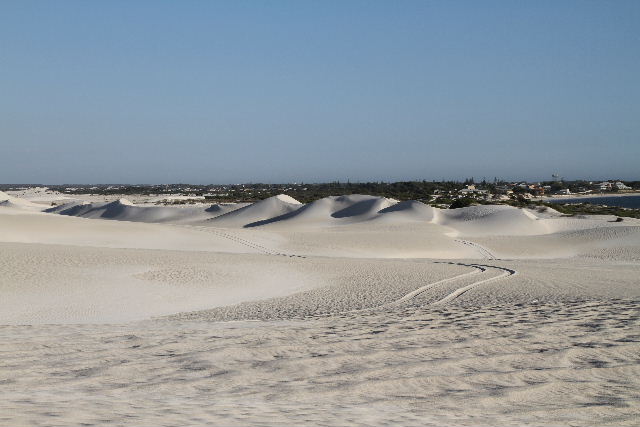 e0064133_1456550.jpg