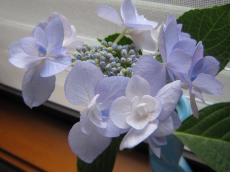 c0025140_2252445.jpg