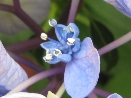 c0025140_23271326.jpg
