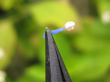 c0025140_23272389.jpg