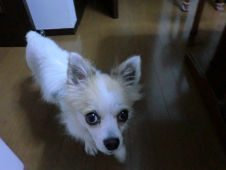 d0169340_2335831.jpg
