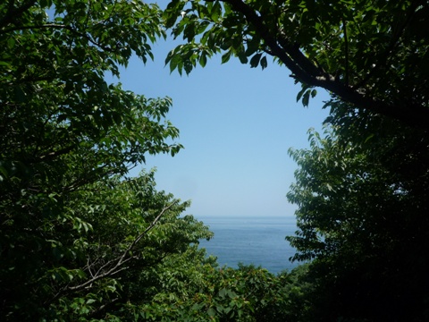 b0041442_23325273.jpg