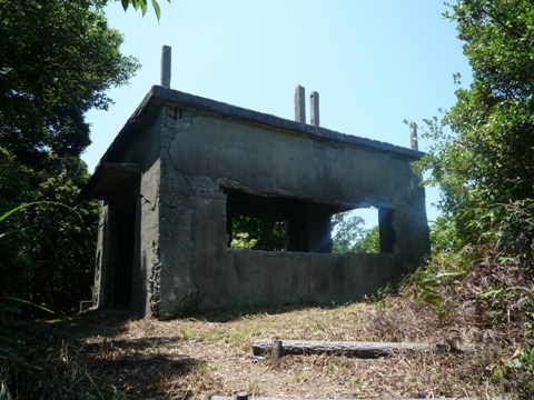 b0041442_23443933.jpg