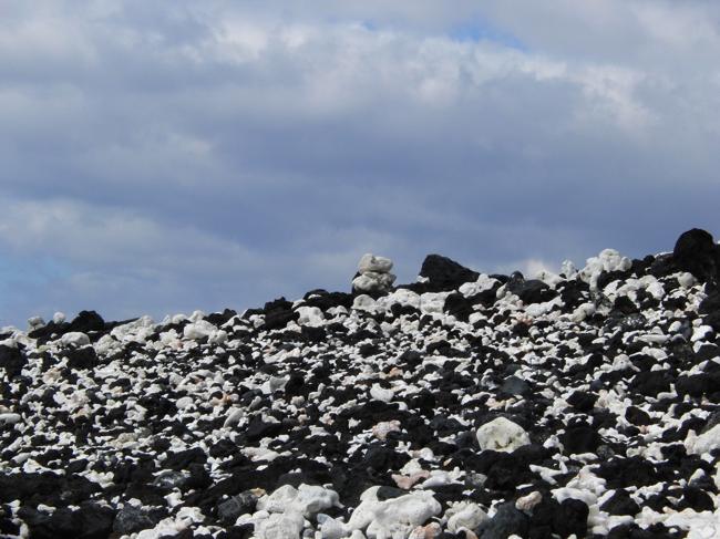 e0129046_142156.jpg