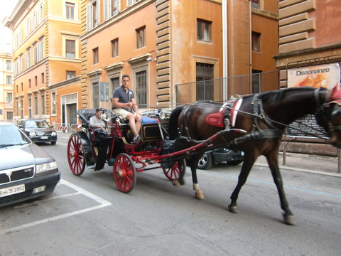 c0206352_5495033.jpg