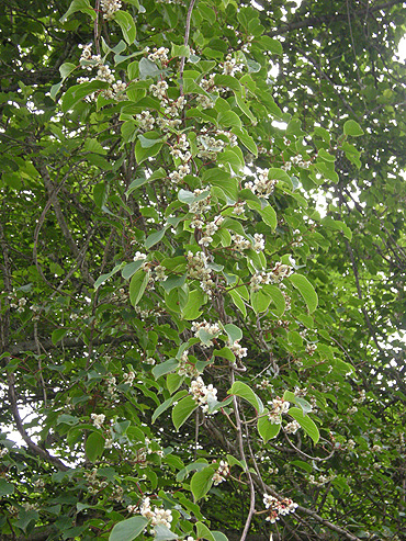 a0001354_22452549.jpg