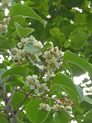 a0001354_22463297.jpg