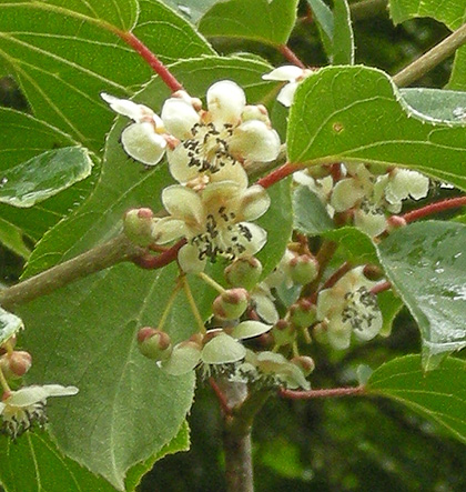 a0001354_22465666.jpg