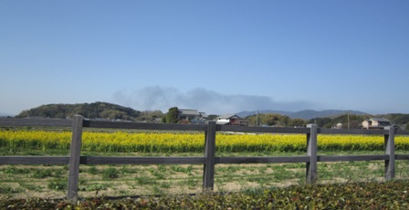 b0173754_1245102.jpg