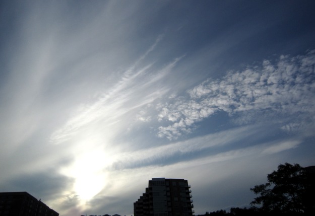 b0173754_12572632.jpg