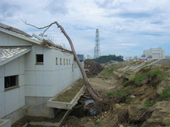 c0026558_8212838.jpg
