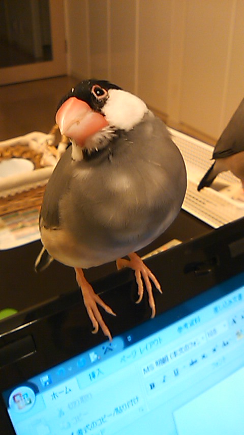 b0158061_20443521.jpg