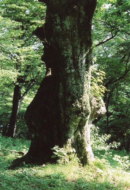 c0082066_23505424.jpg