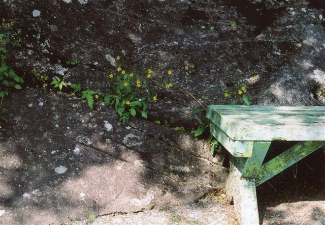 c0082066_23515653.jpg
