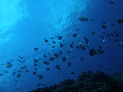 b0033573_22341970.jpg