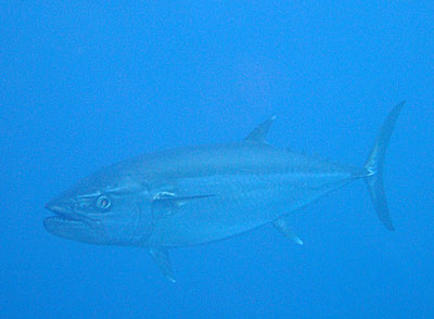 b0033573_22344045.jpg