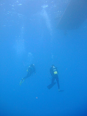 b0033573_2235095.jpg