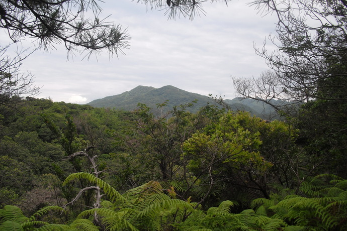 c0019376_2111991.jpg