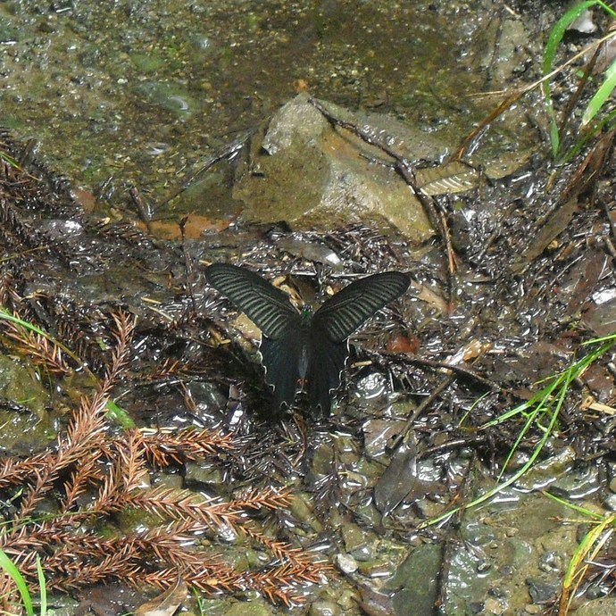 c0019376_22543515.jpg