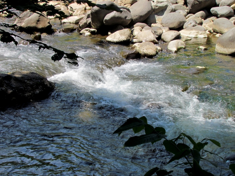 c0183777_19512911.jpg