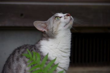 f0054677_6574330.jpg