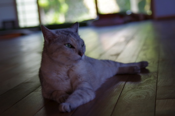 f0054677_6582043.jpg