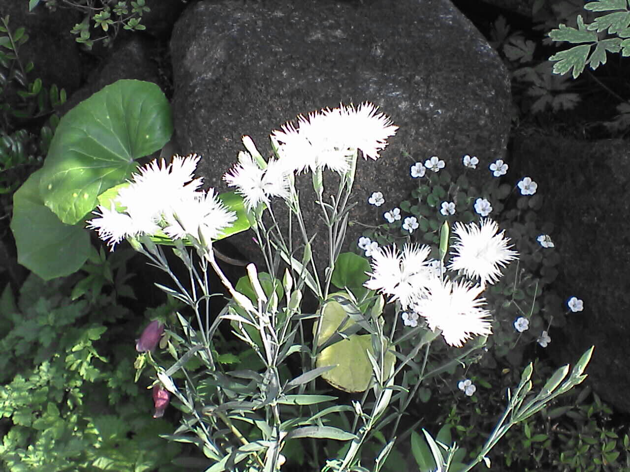 c0069380_16372725.jpg