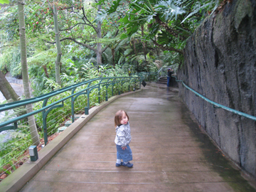 f0068883_1651754.jpg