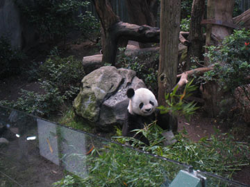 f0068883_1662439.jpg