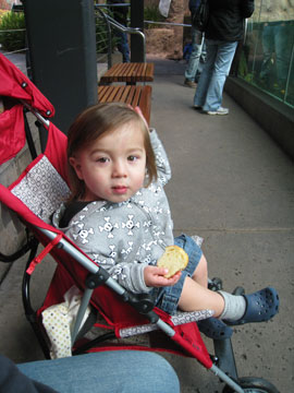 f0068883_1673047.jpg