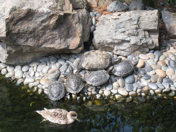 f0068883_1684766.jpg