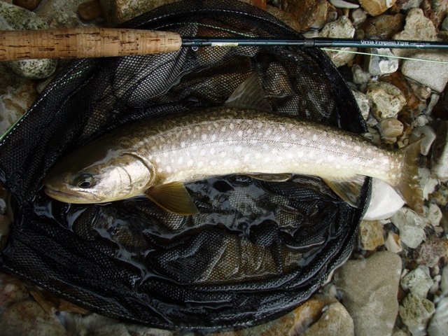 e0202393_9233277.jpg