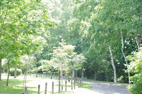 c0207596_2011529.jpg