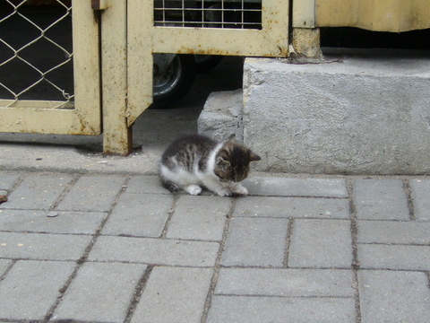 f0169397_22114730.jpg