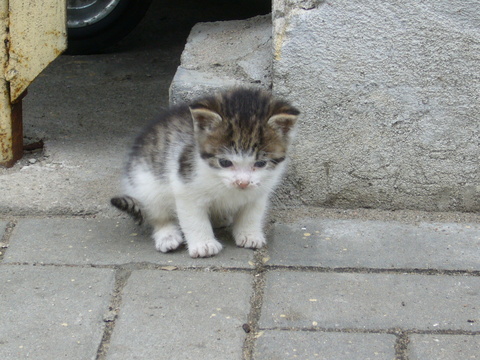 f0169397_22133621.jpg